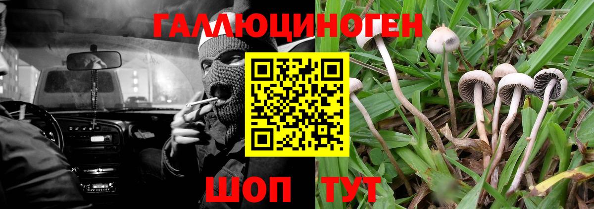 Галлюциногенные грибы Cubensis  Вход с VPN  Великий Новгород 